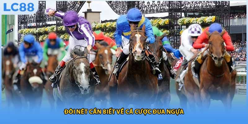 Đôi nét cần biết về cá cược đua ngựa